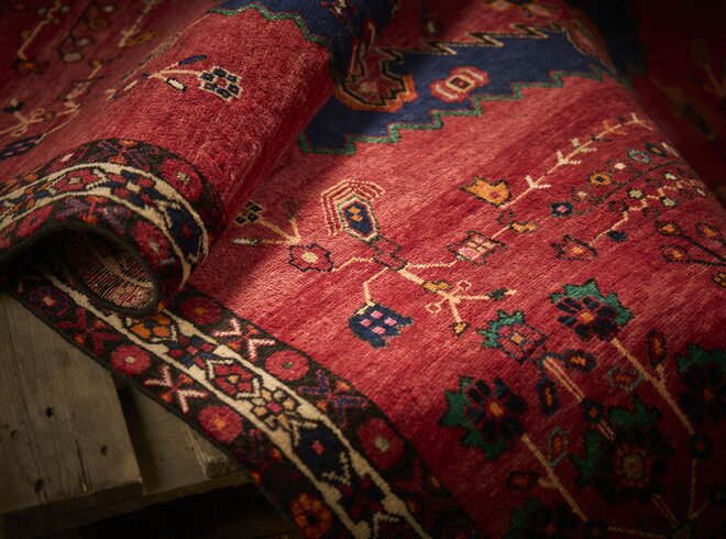 Nomadic Rugs | Reza Shop