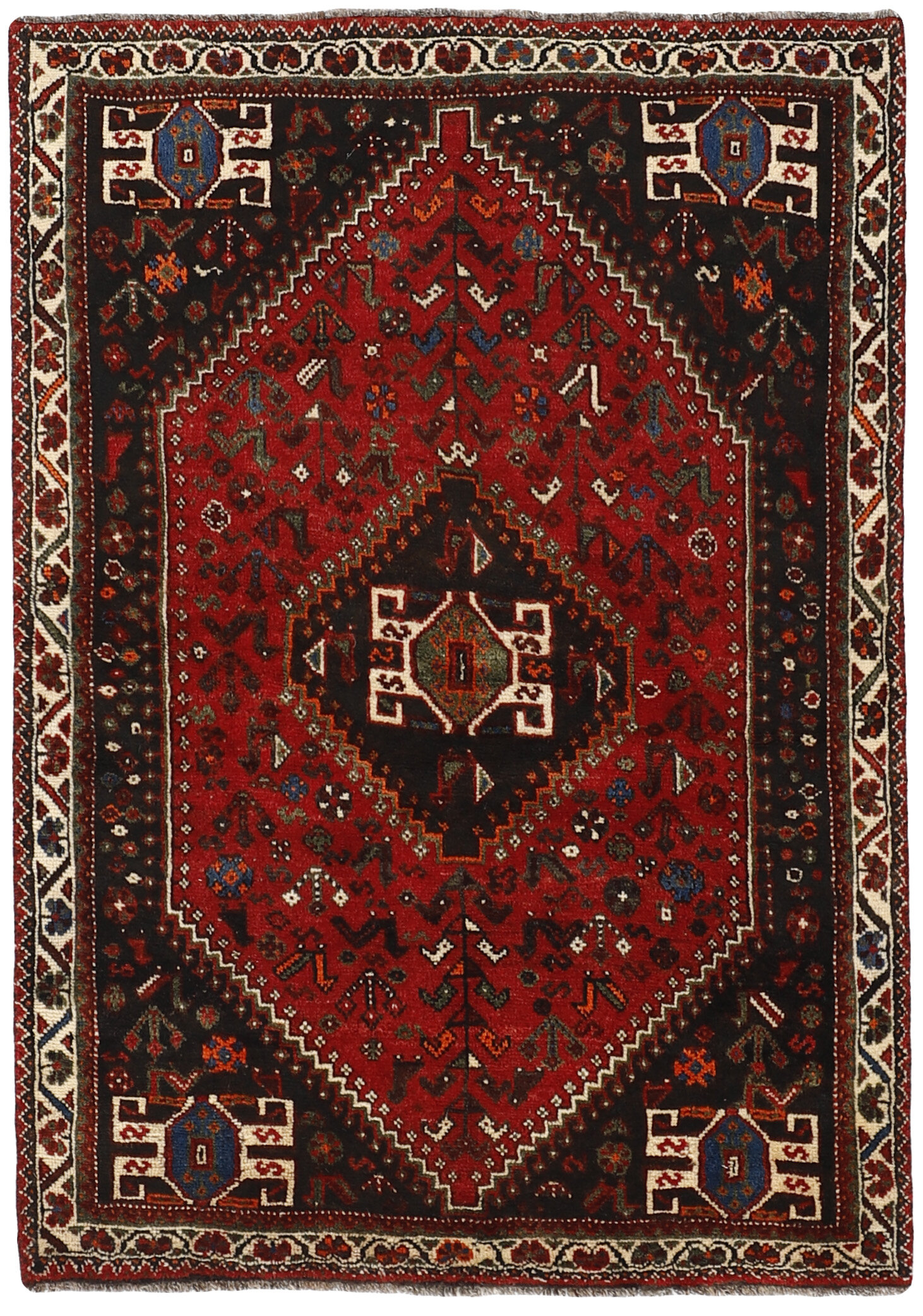 Shiraz Shiraz