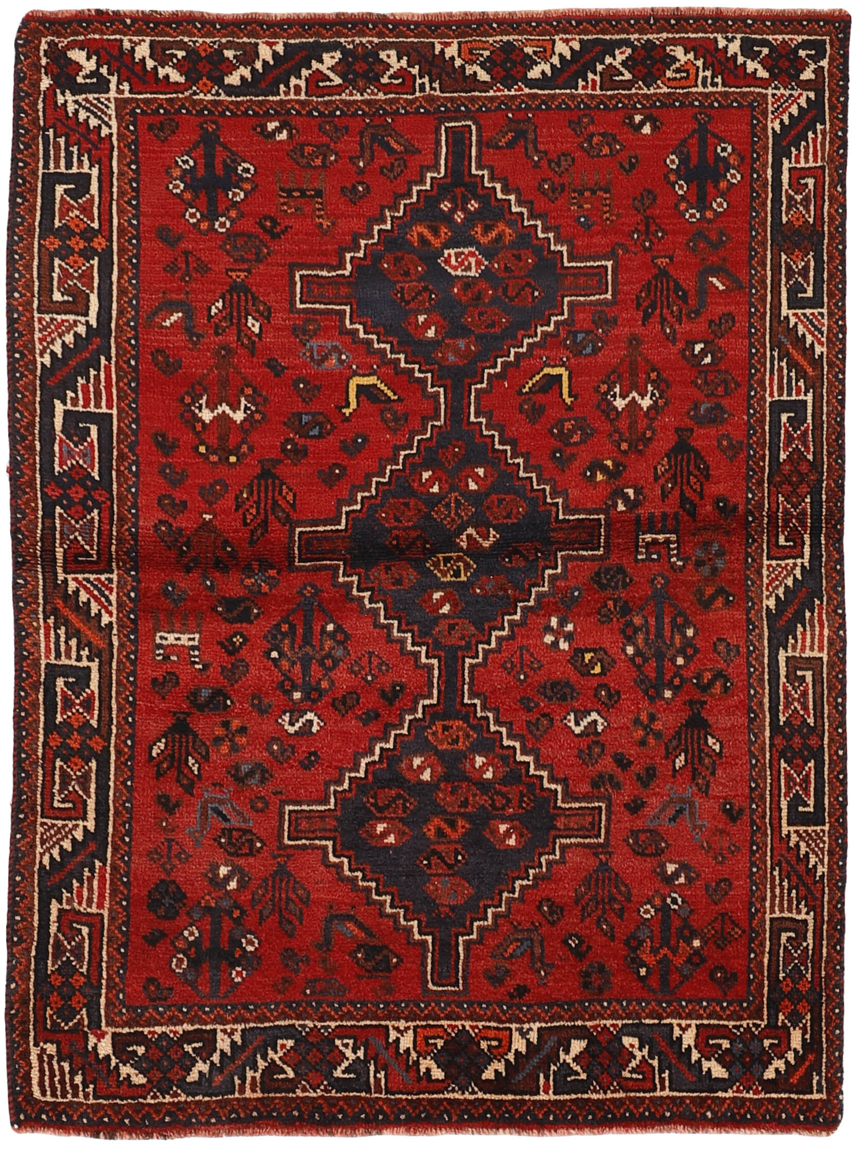 Shiraz Shiraz