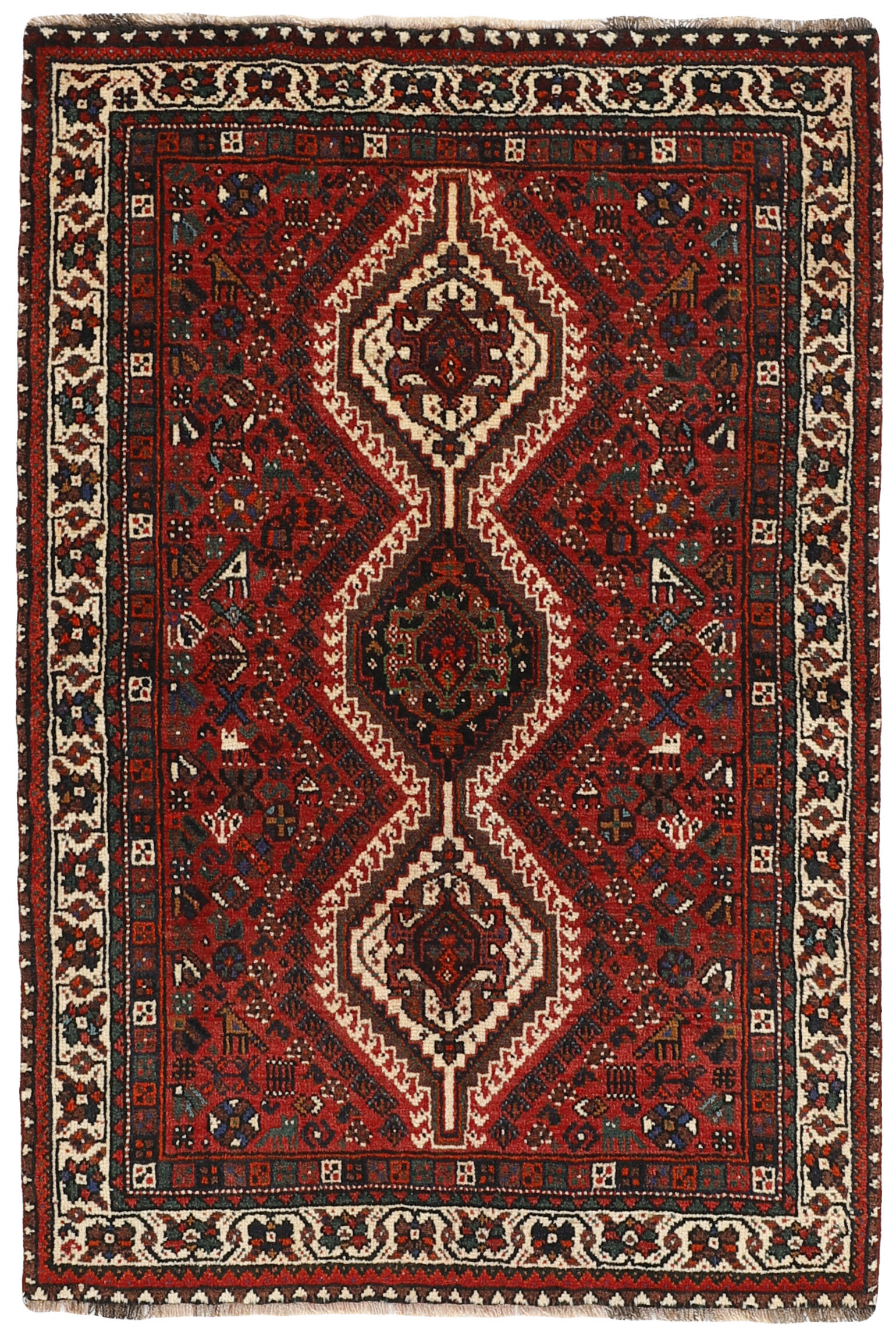 Shiraz Shiraz