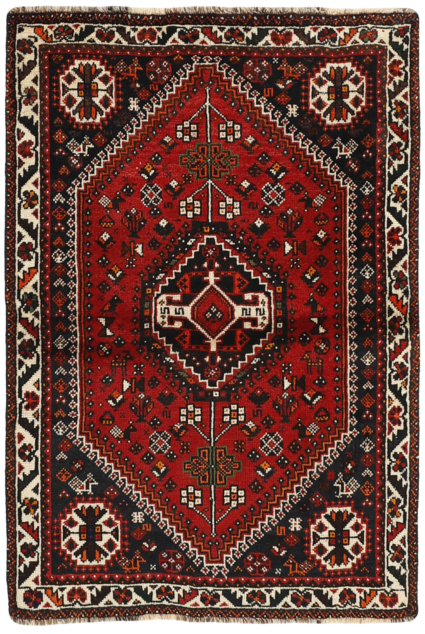 Shiraz Shiraz
