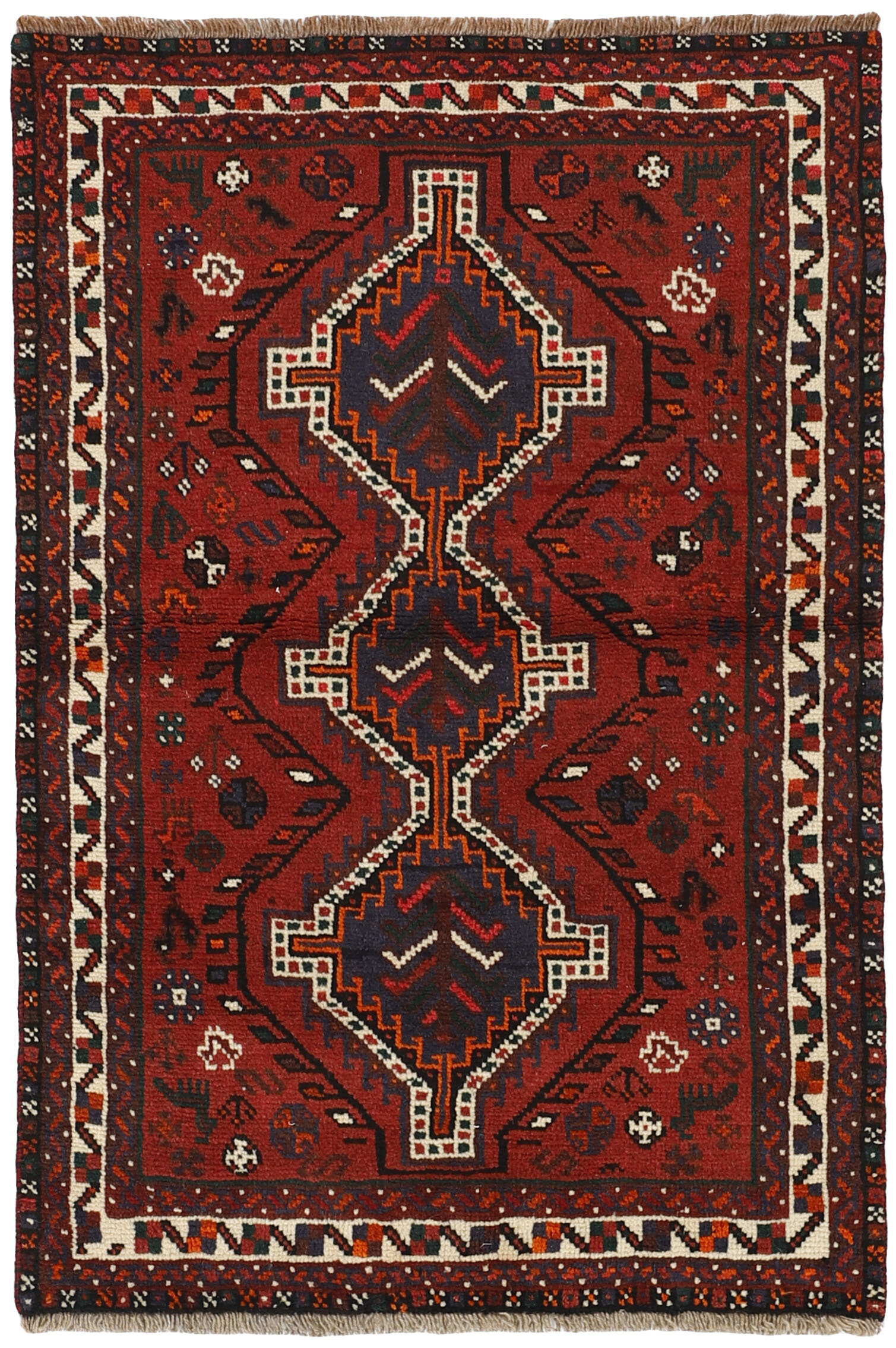 Shiraz Shiraz