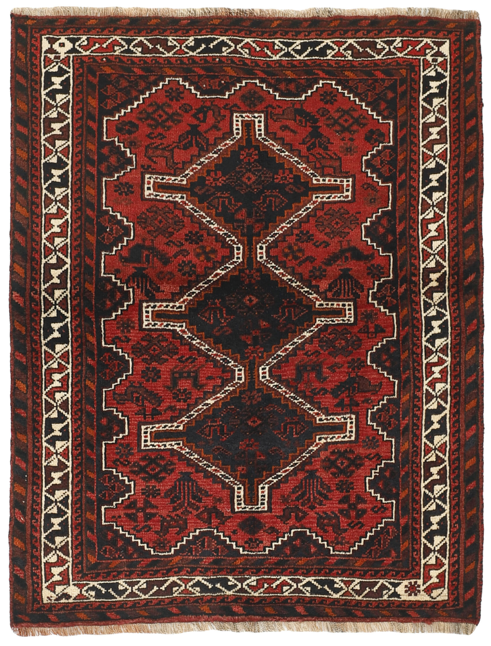 Shiraz Shiraz