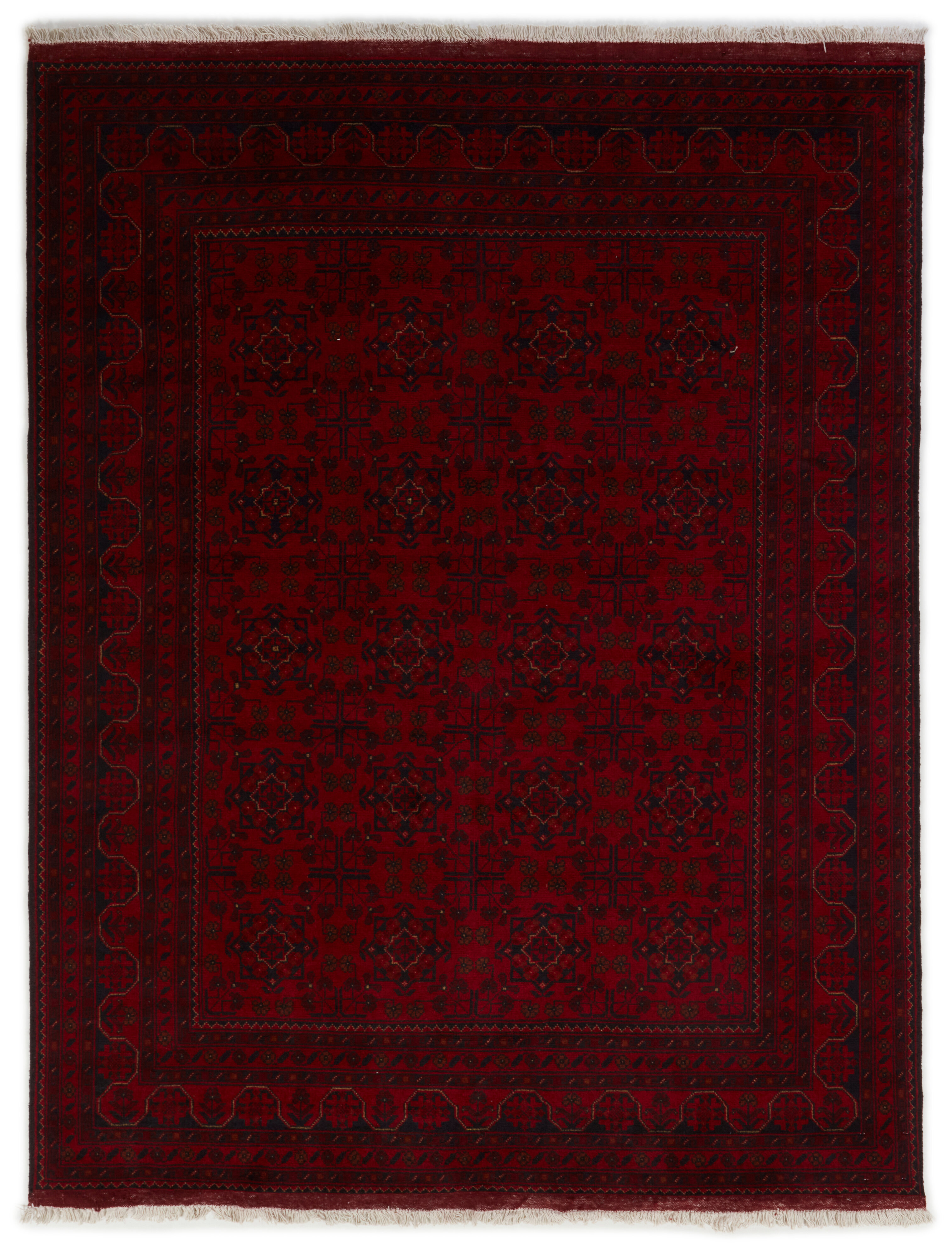 Old Afghan Old Afghan