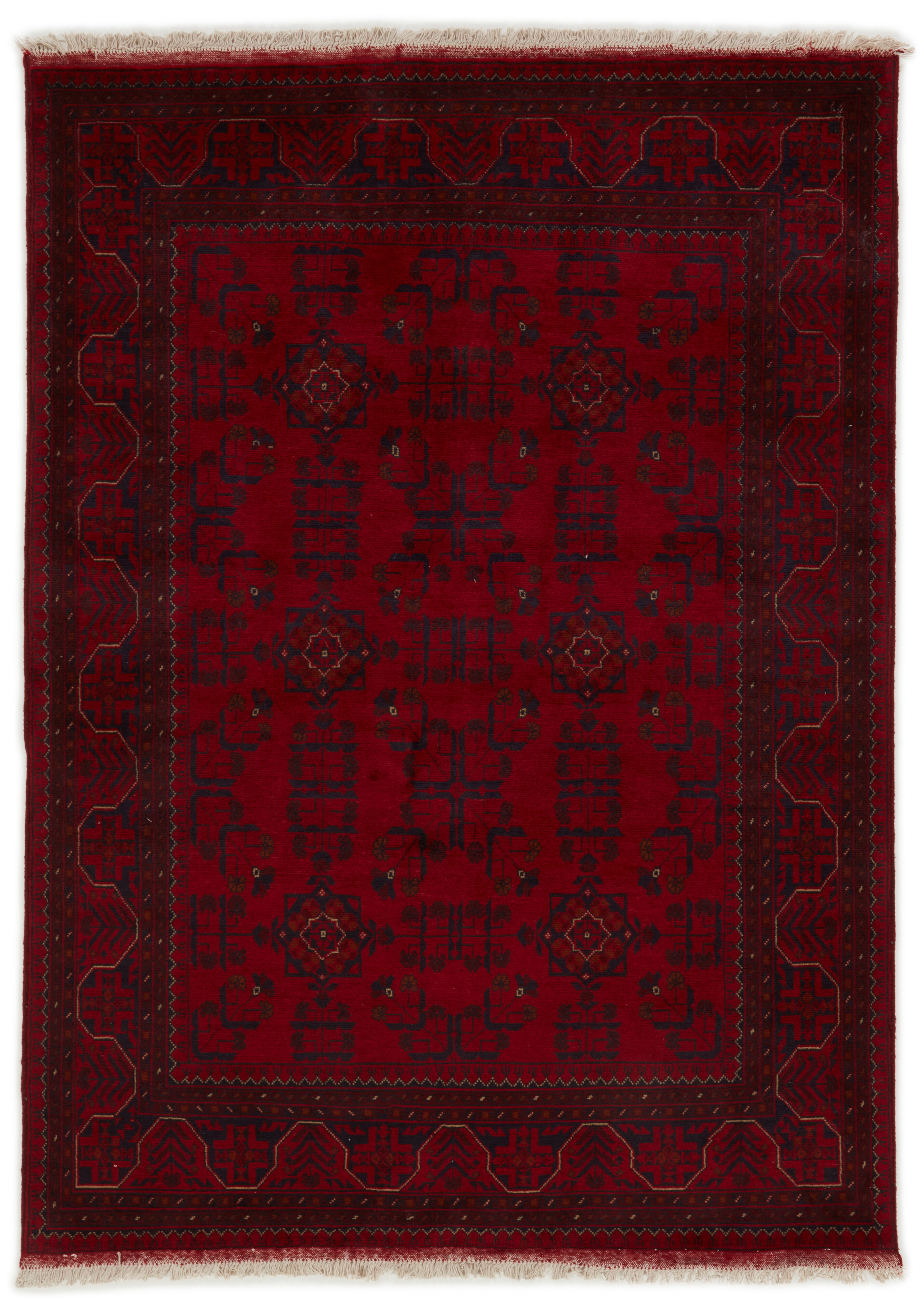 Old Afghan Old Afghan
