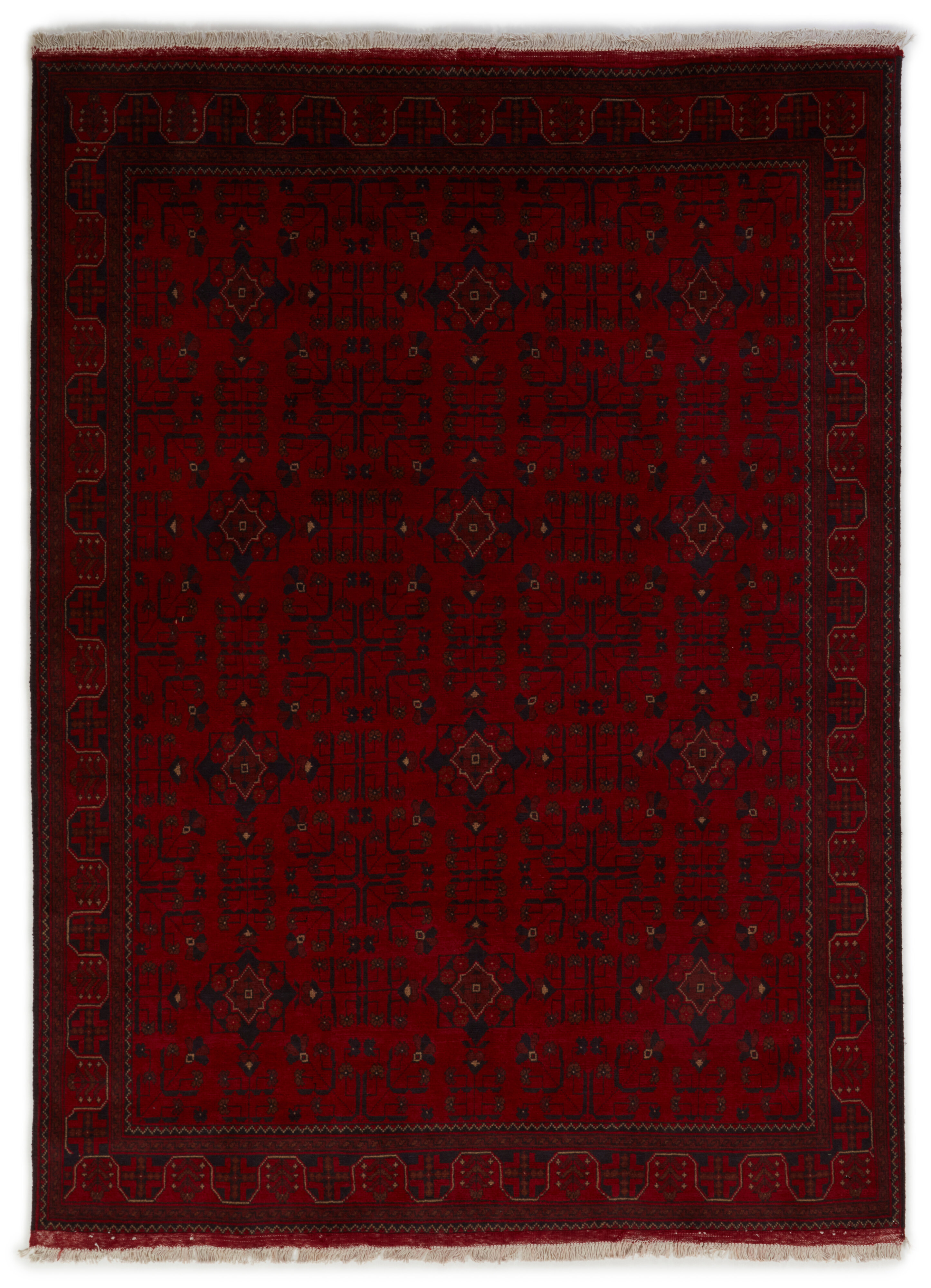 Old Afghan Old Afghan