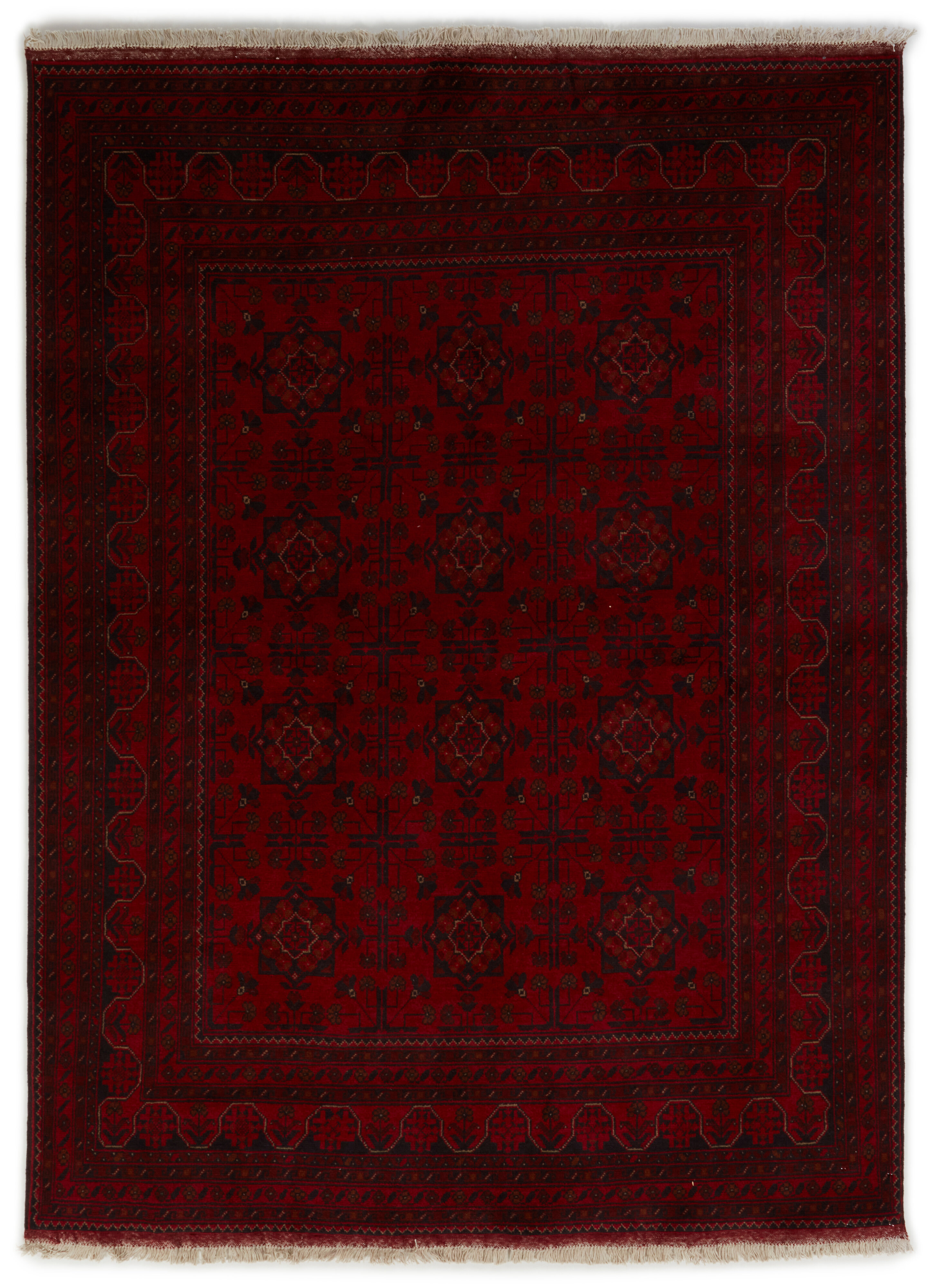 Old Afghan Old Afghan