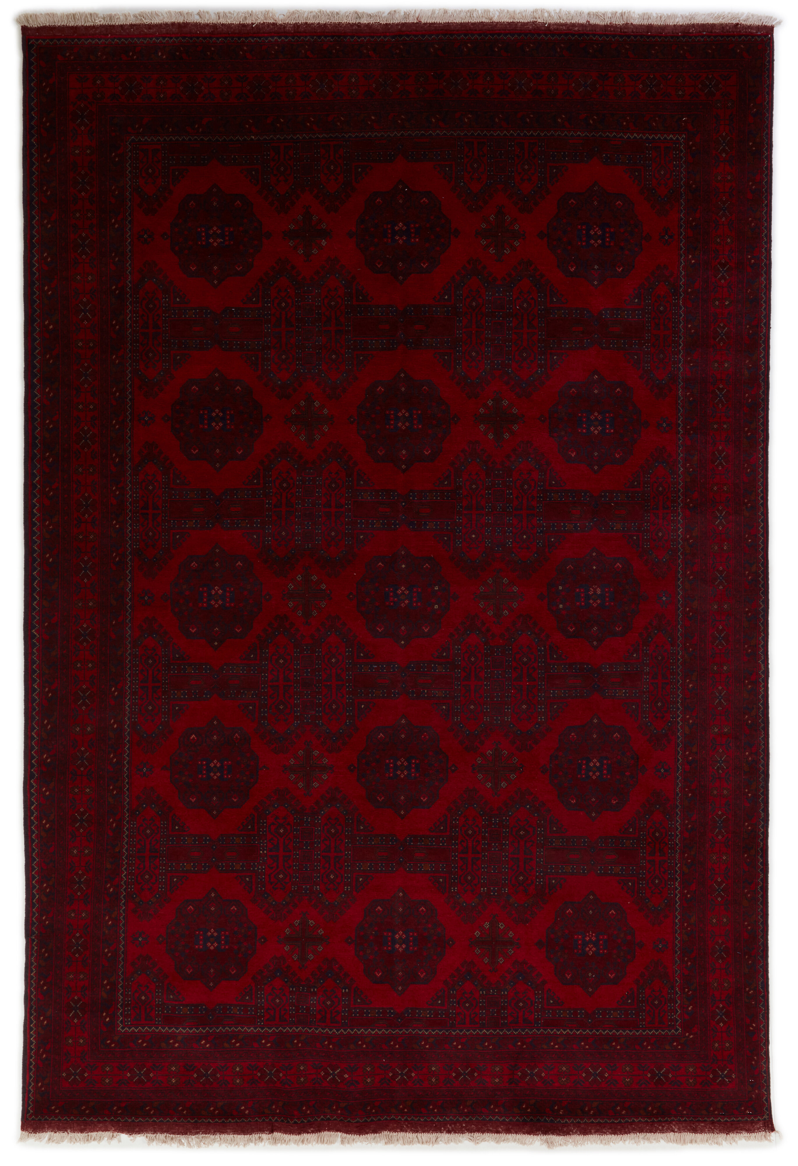 Old Afghan Old Afghan