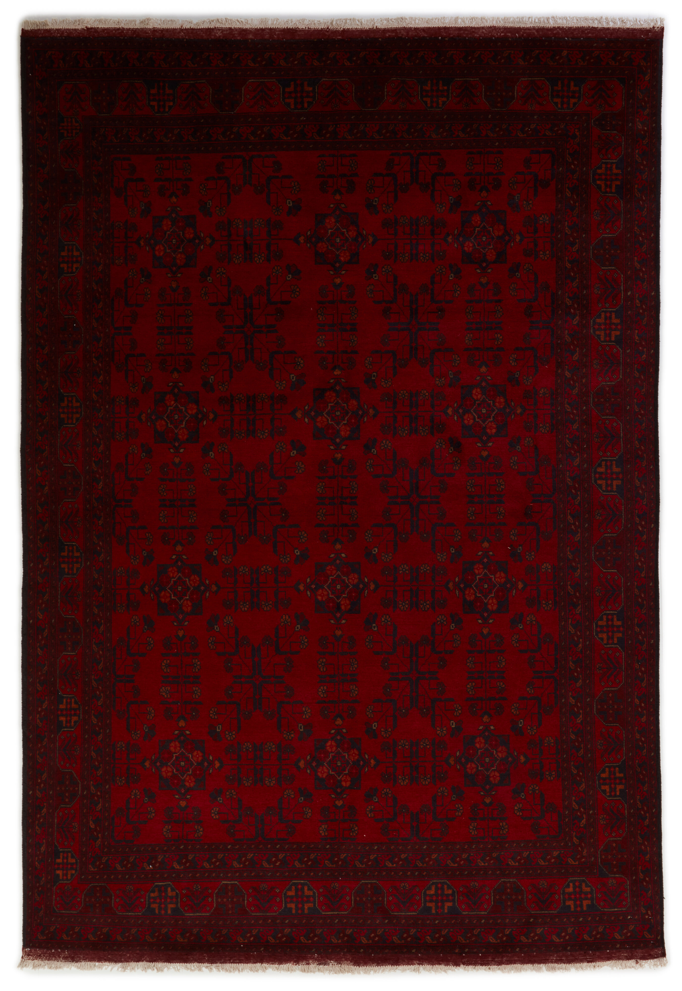 Old Afghan Old Afghan