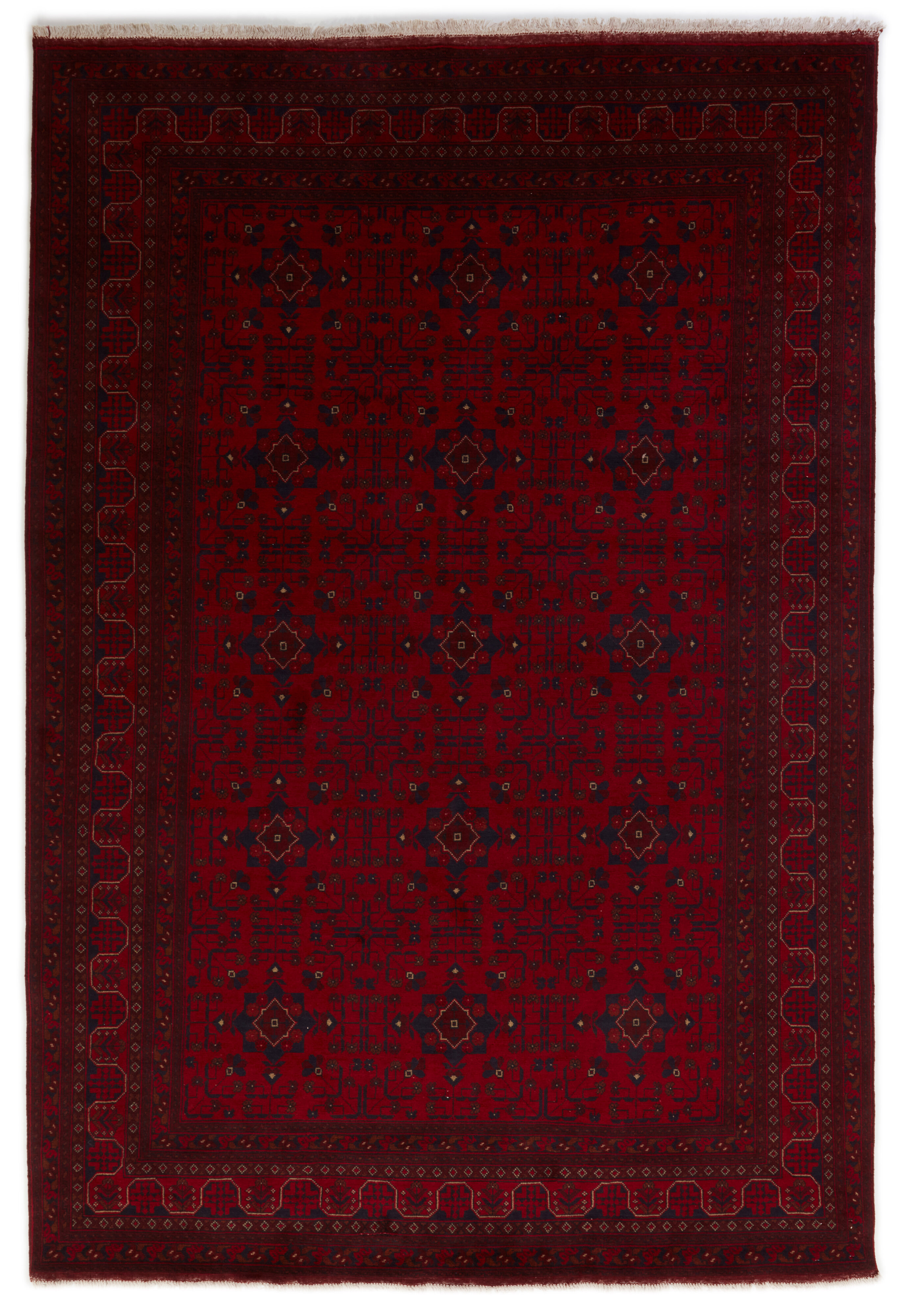 Old Afghan Old Afghan