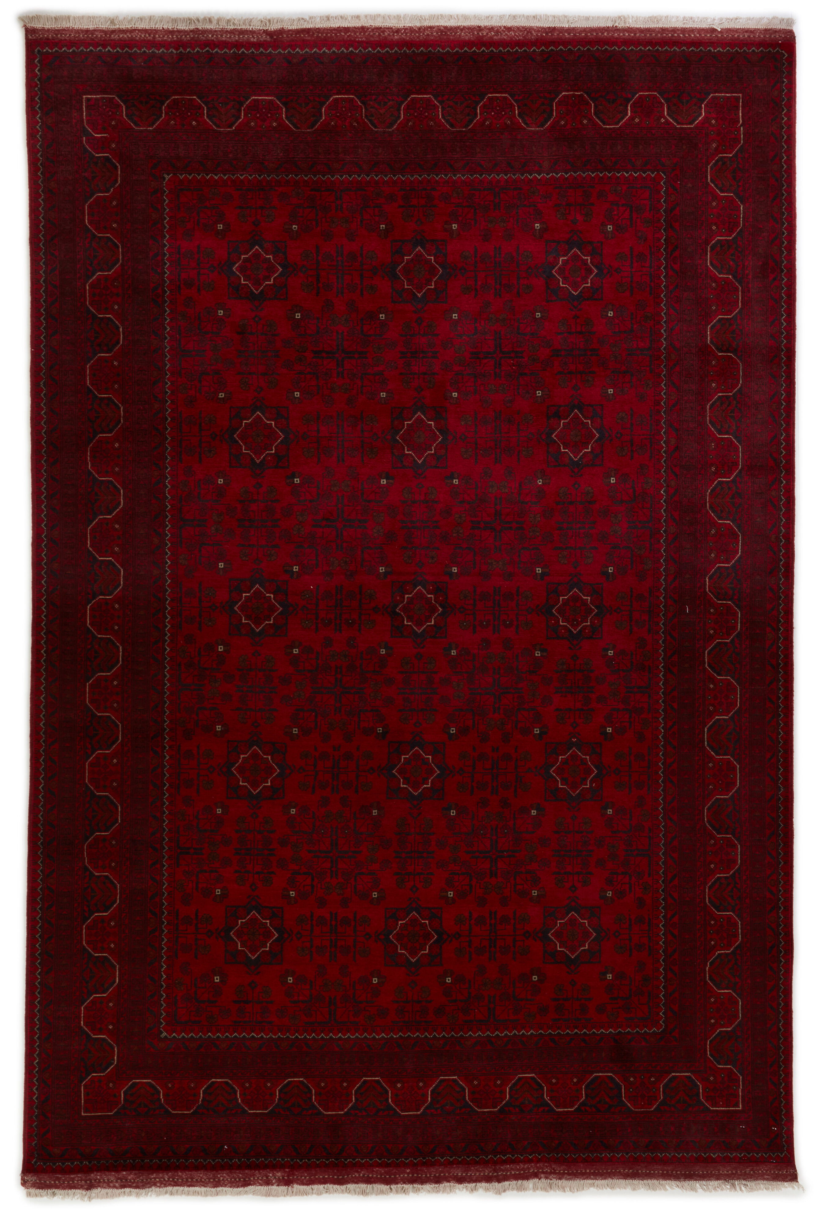Old Afghan Old Afghan