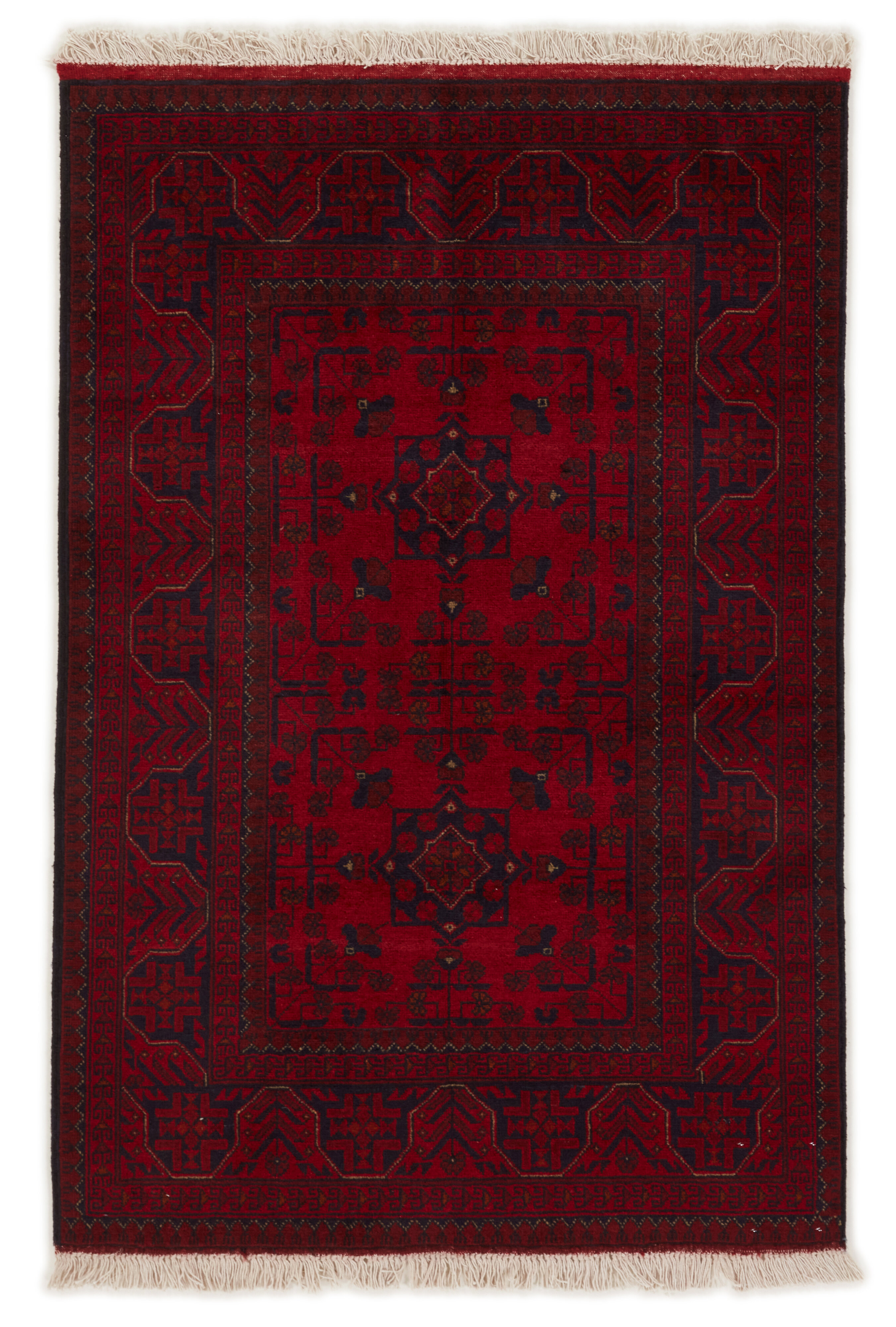 Old Afghan Old Afghan