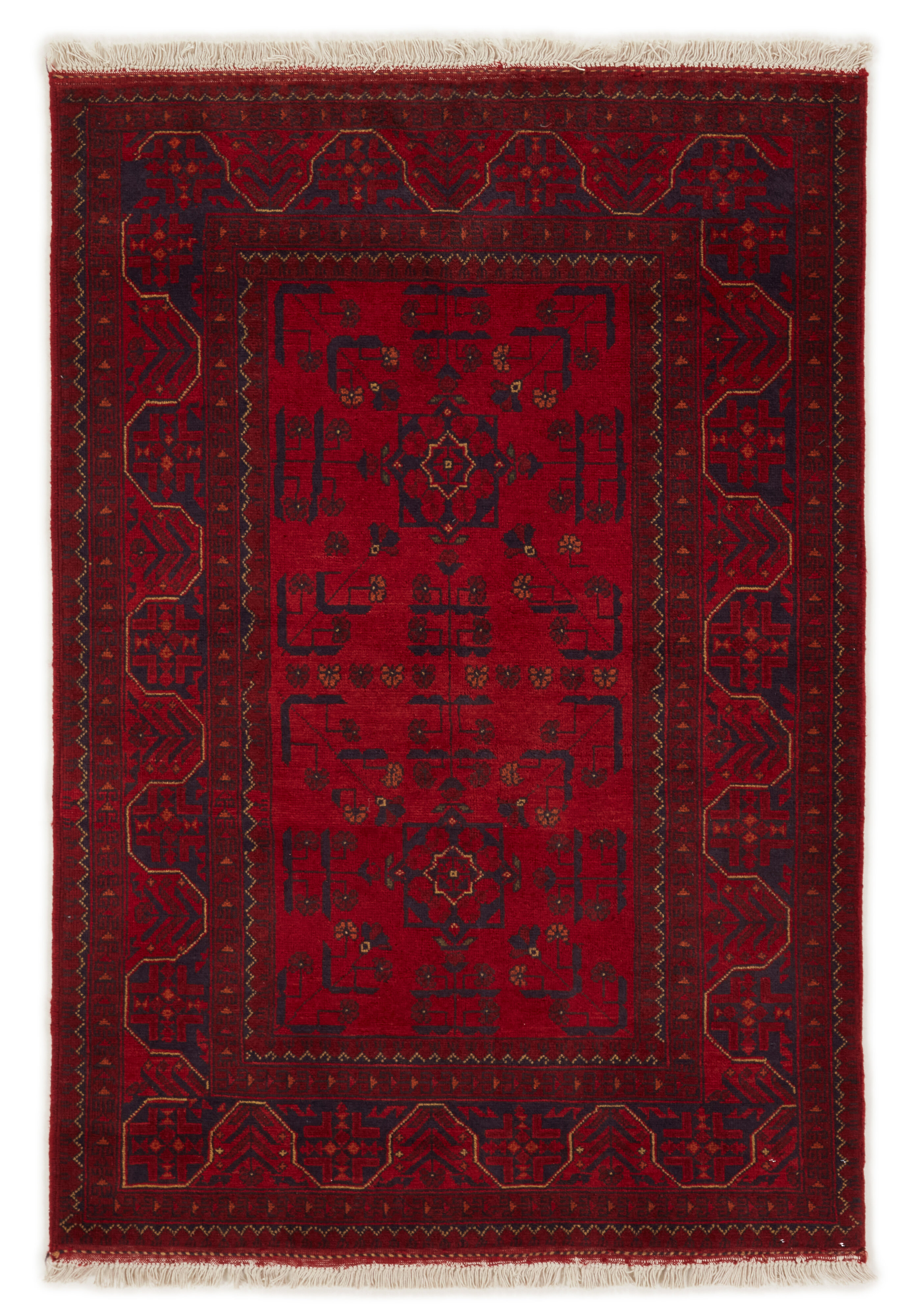 Old Afghan Old Afghan