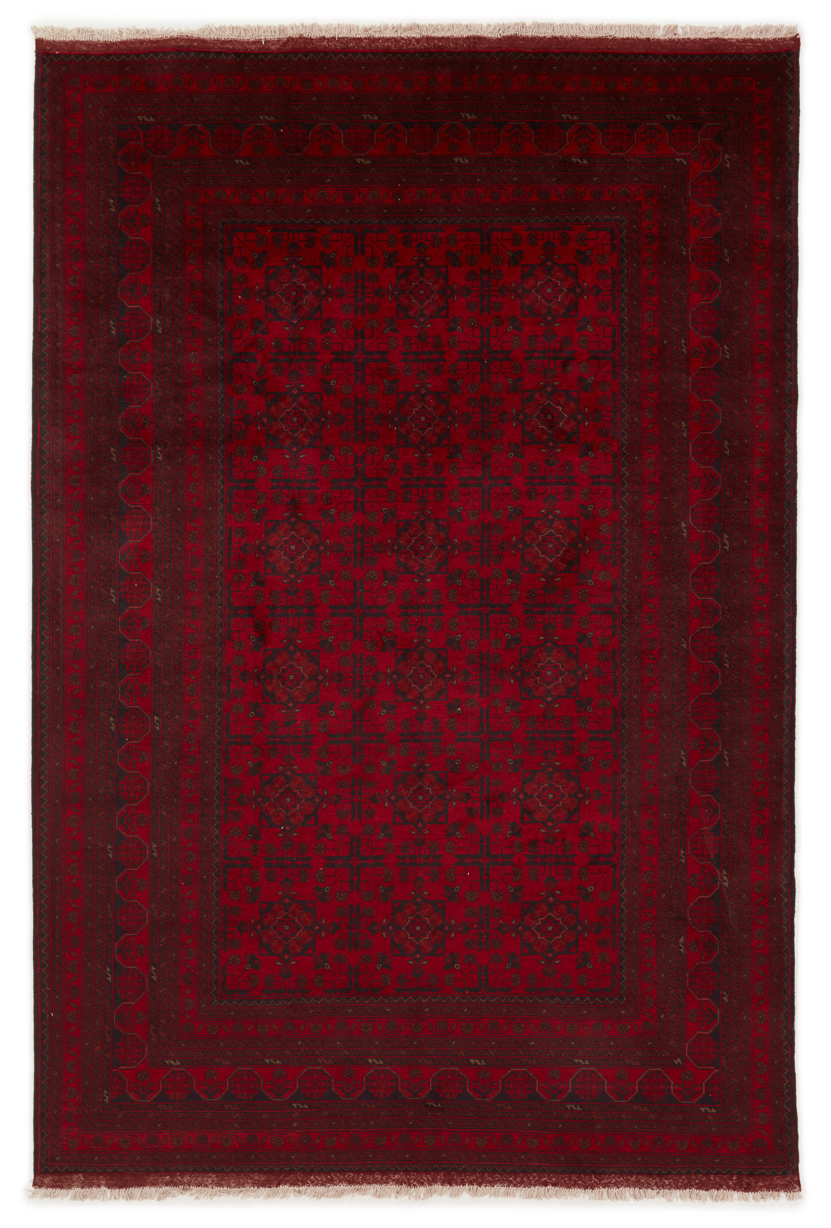 Old Afghan Old Afghan