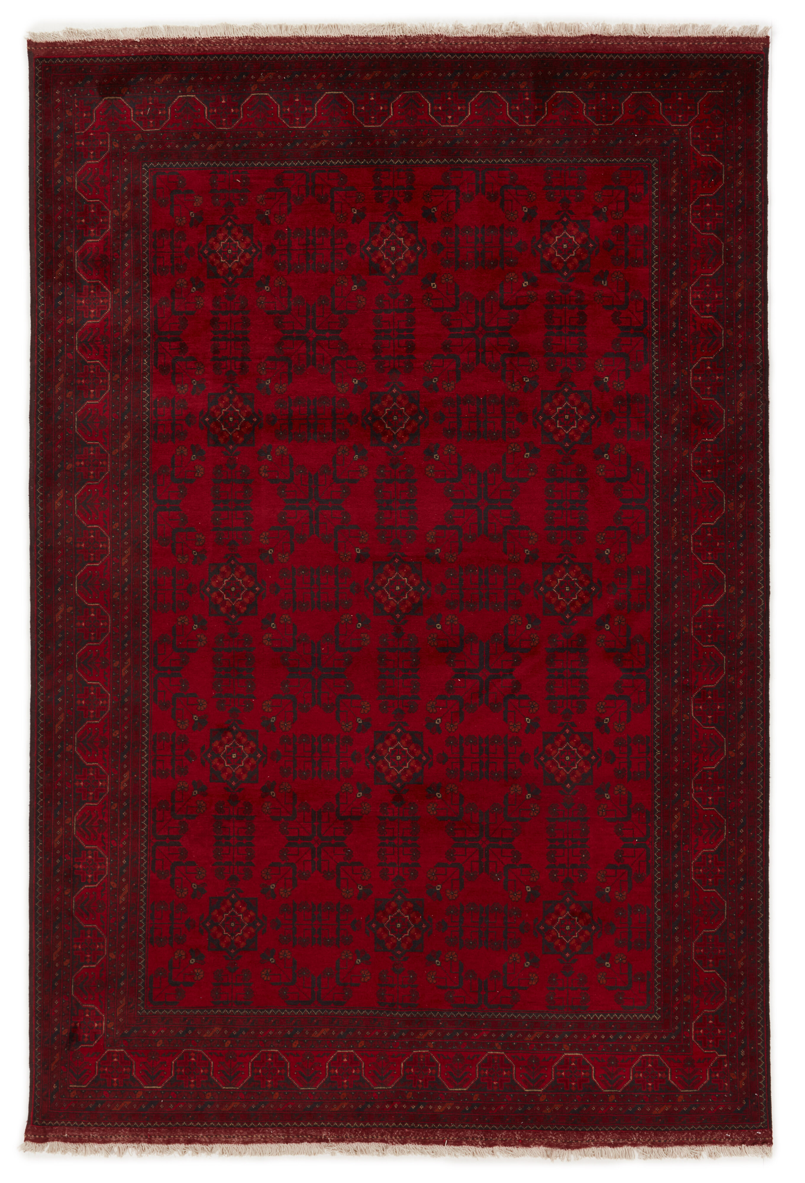 Old Afghan Old Afghan