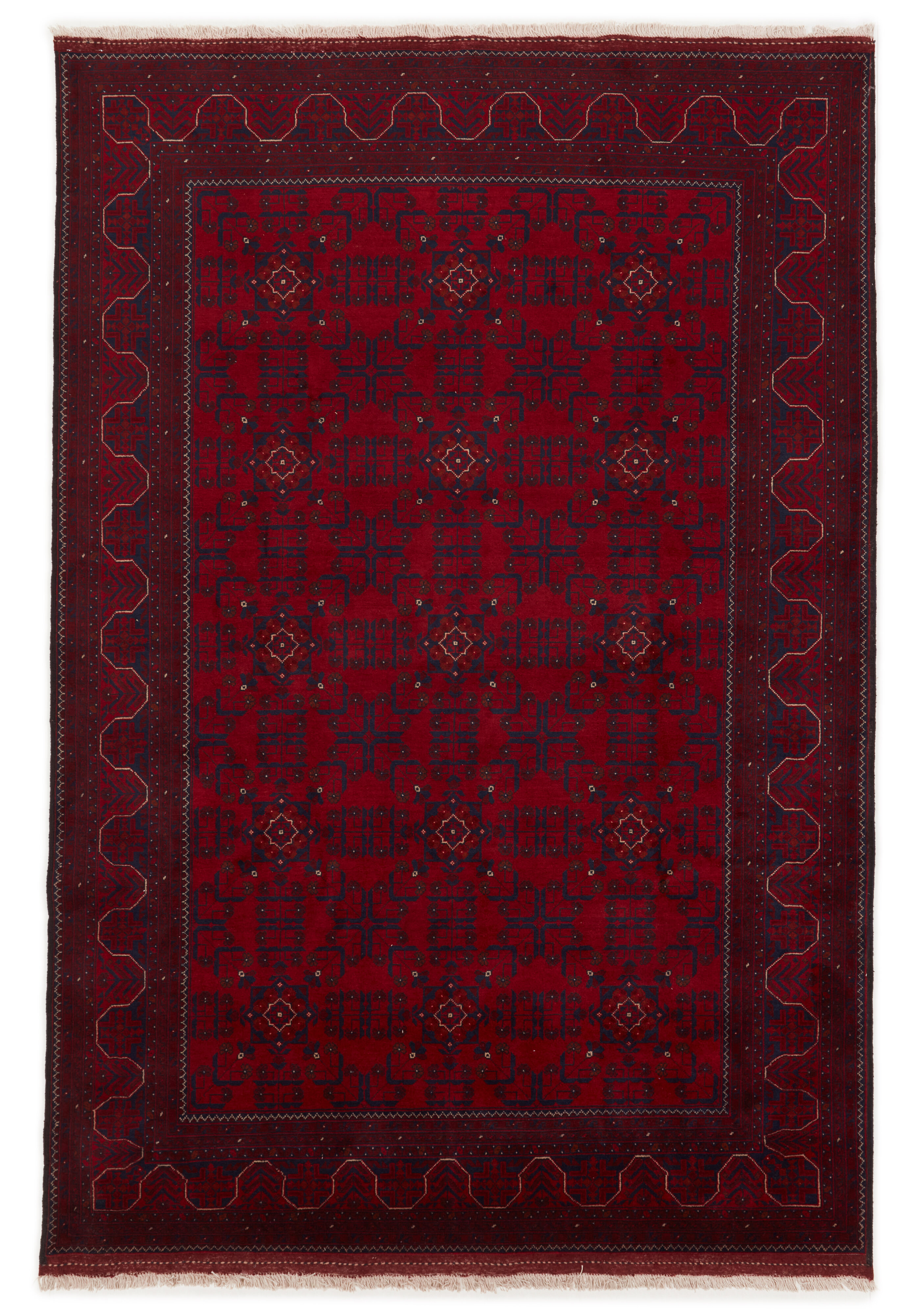 Old Afghan Old Afghan