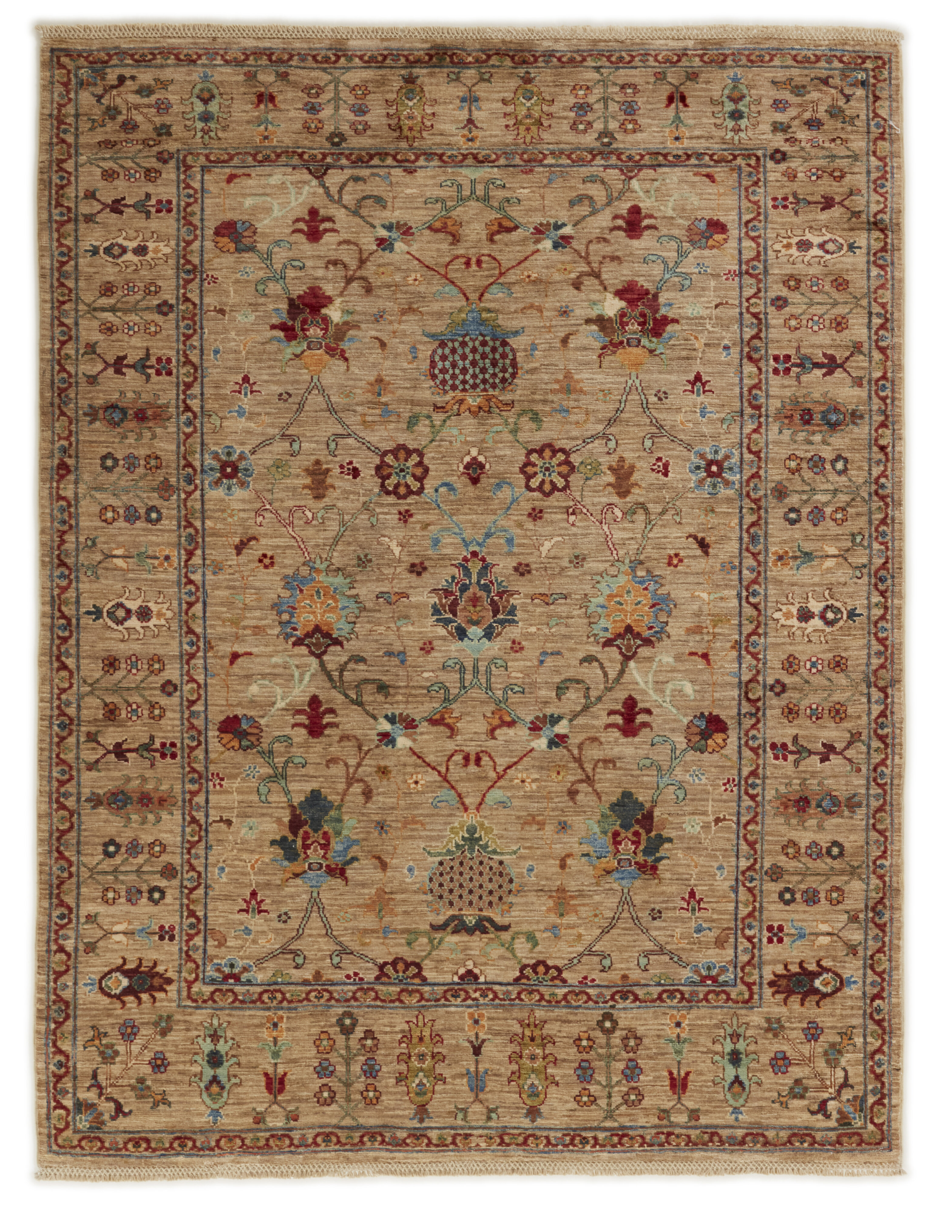 Shall Collection Shall Collection