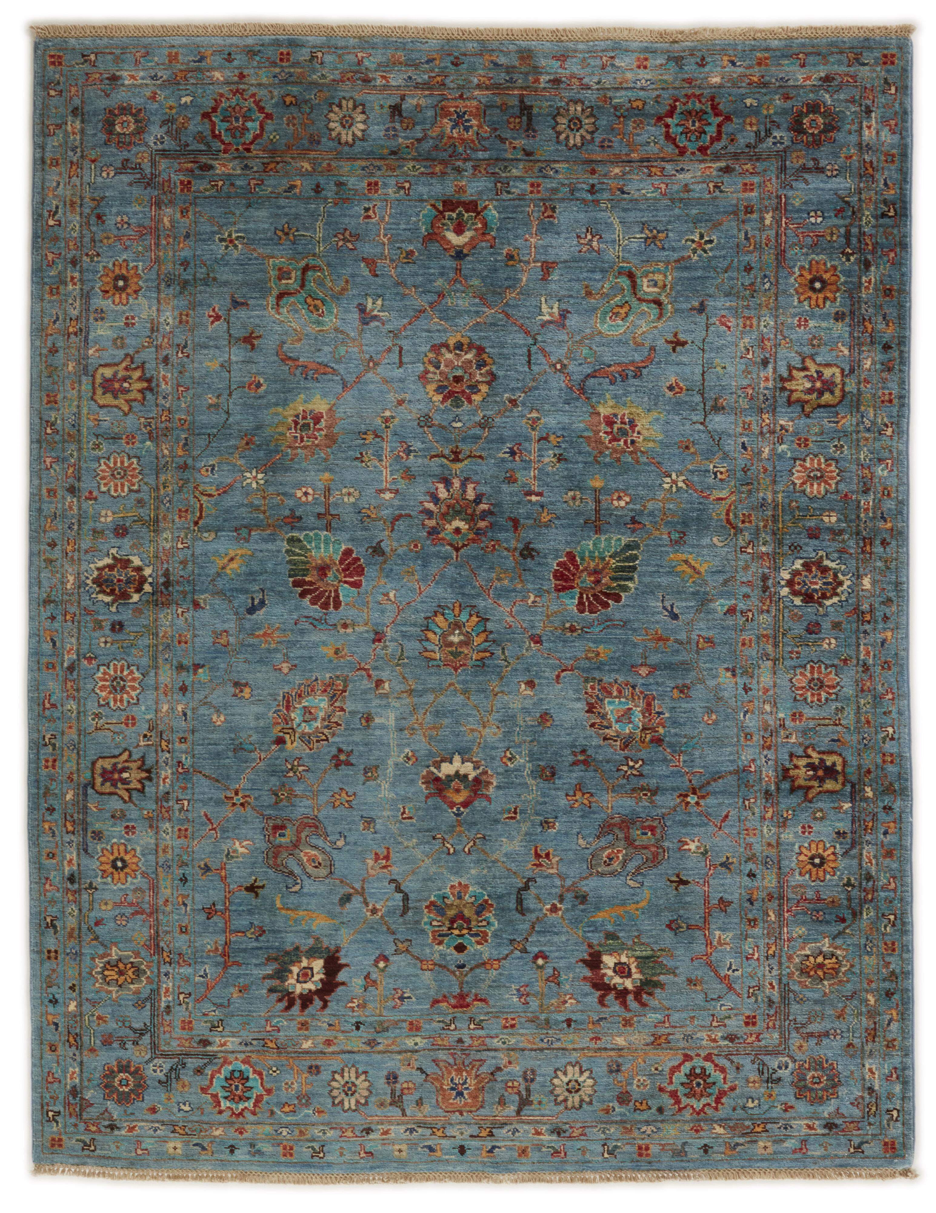 Shall Collection Shall Collection