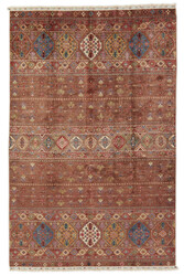 Shall Collection Shall Collection