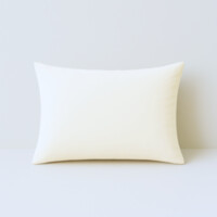 Inner Cushion