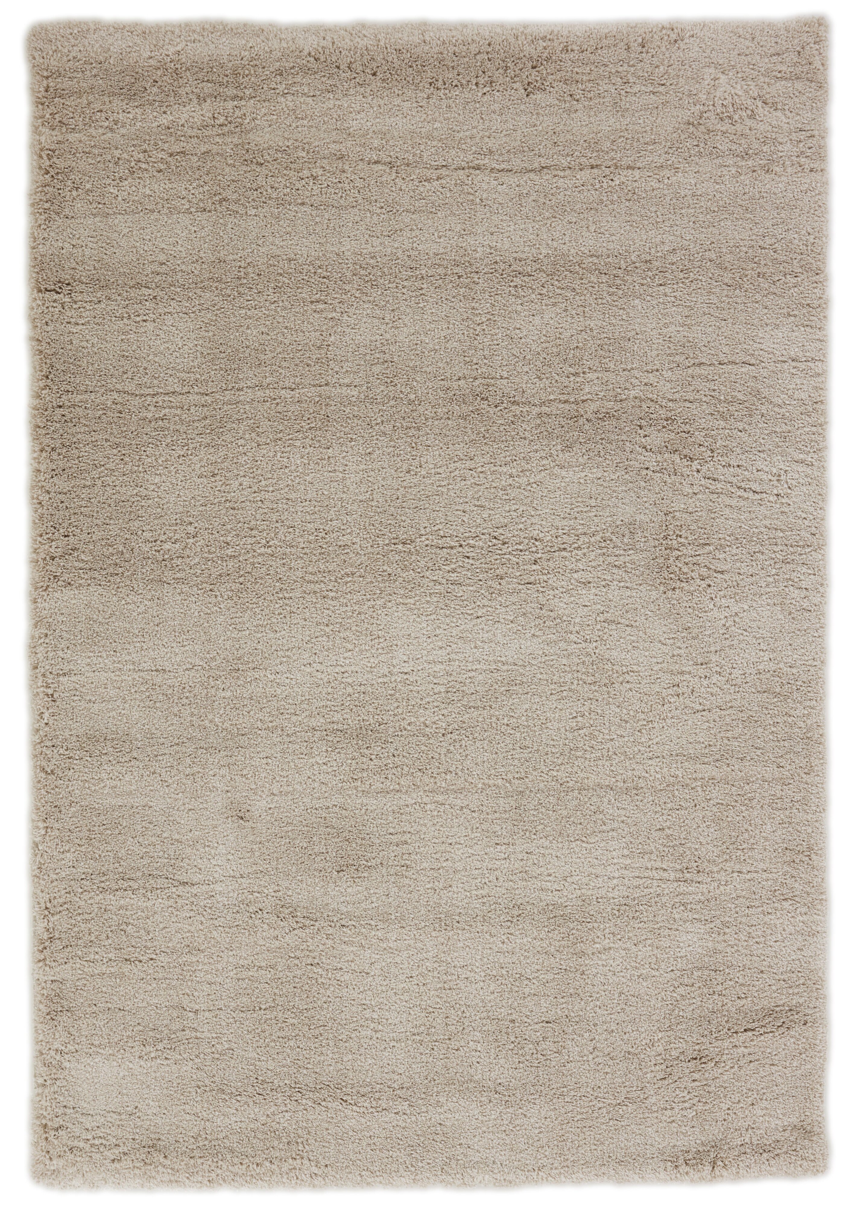 Everyday Harmony Everyday Harmony