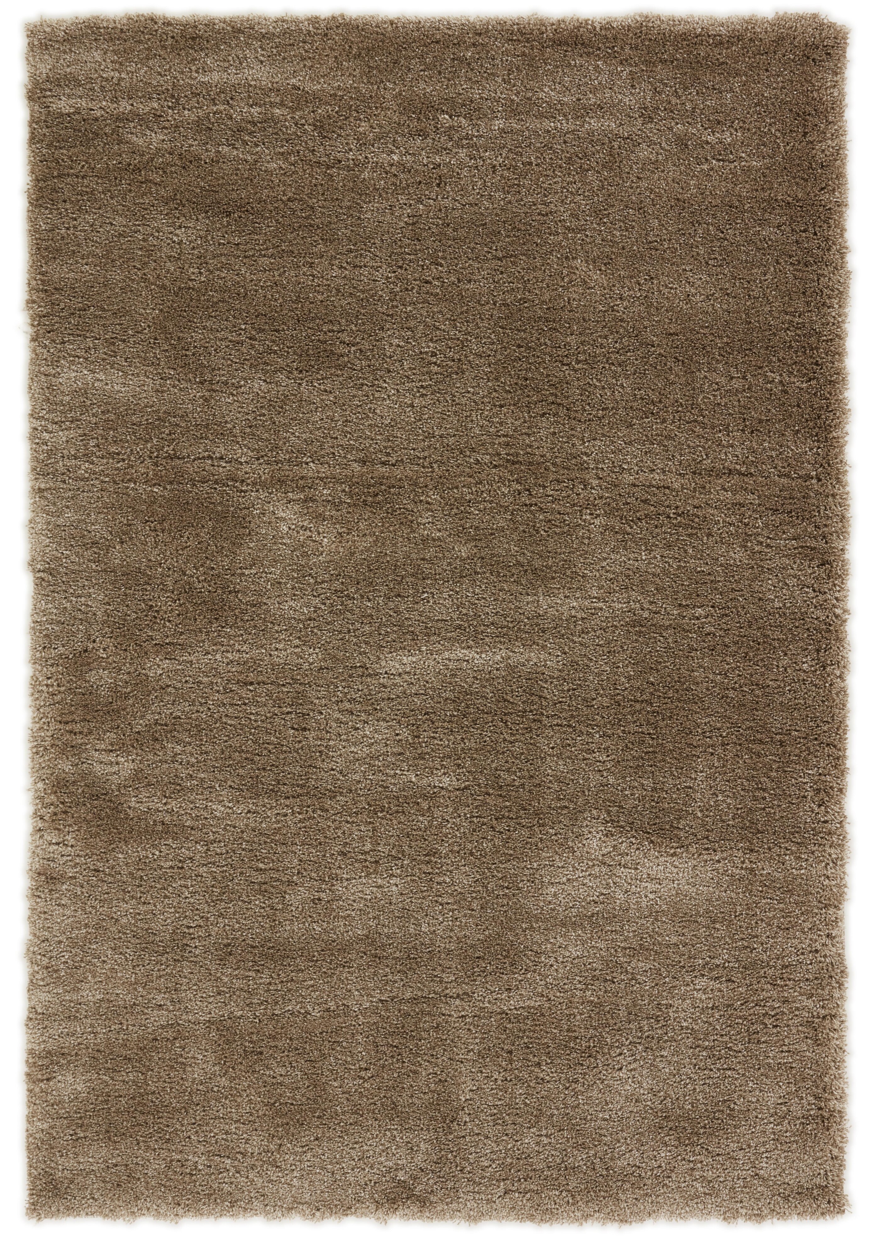 Everyday Harmony Everyday Harmony