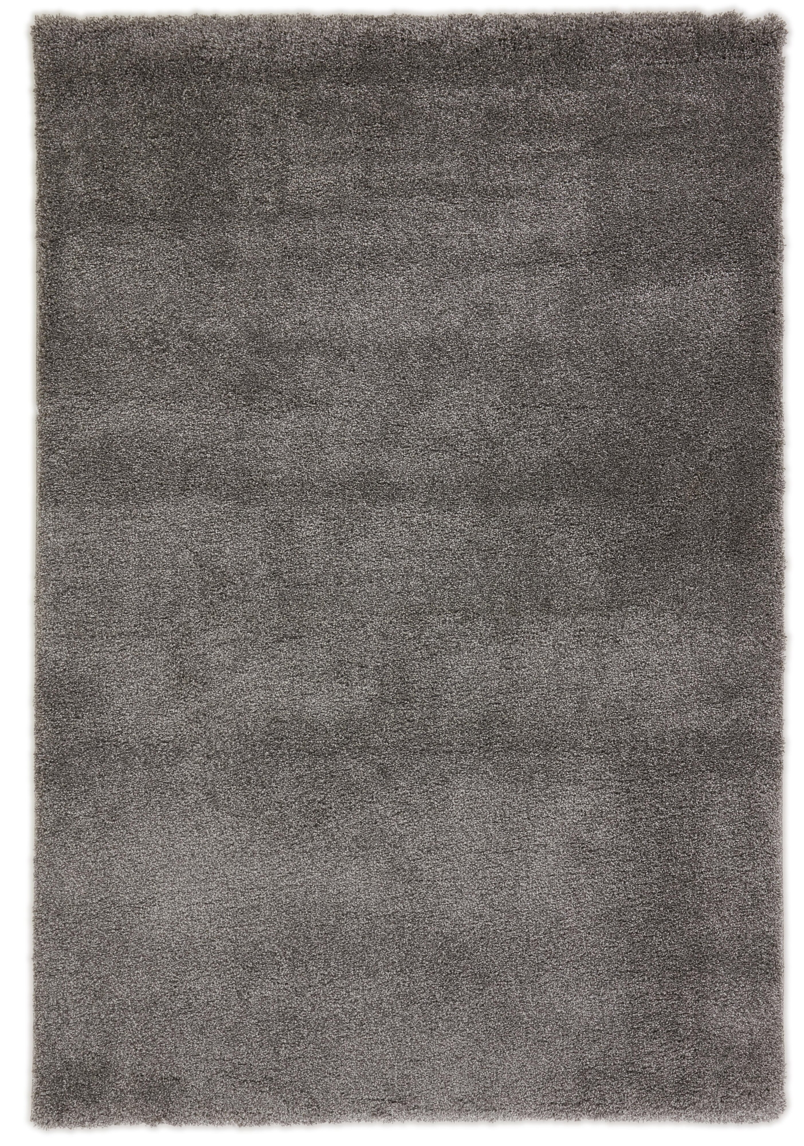 Everyday Harmony Everyday Harmony