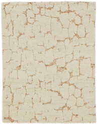 Amber Collection Amber Collection